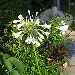 Gemuetliches In Fischbach Rhoen By Interhome Nyaraló