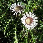 Gemuetliches In Fischbach Rhoen By Interhome Nyaraló