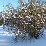 Nyaraló Gemuetliches In Fischbach Rhoen By Interhome