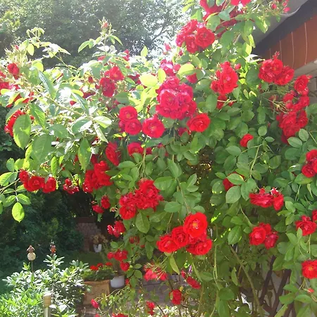 Дом отдыха Gemuetliches In Fischbach Rhoen By Interhome *