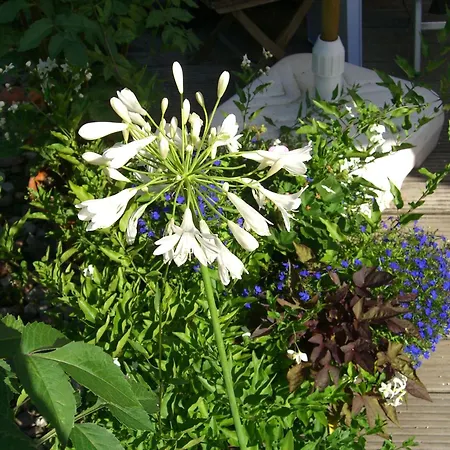 Gemuetliches In Fischbach Rhoen By Interhome Holiday home