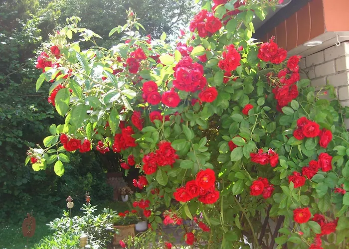 Дом отдыха Gemuetliches In Fischbach Rhoen By Interhome *