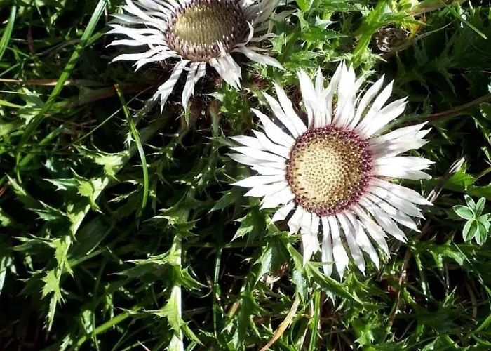 Gemuetliches In Fischbach Rhoen By Interhome Дом отдыха