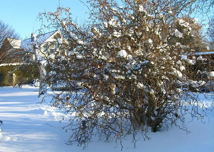 Дом отдыха Gemuetliches In Fischbach Rhoen By Interhome